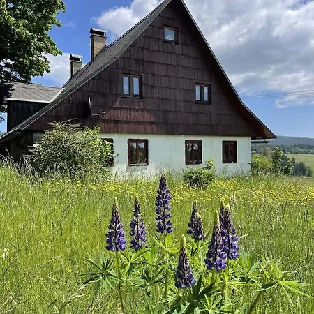 U Kapličky říčky V Orlických Horách Сasa de vacaciones *
