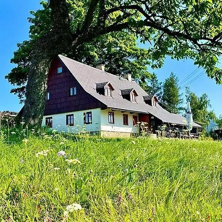 U Kapličky říčky V Orlických Horách * Wüstenei