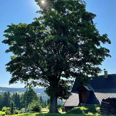 U Kapličky říčky V Orlických Horách Сasa de vacaciones