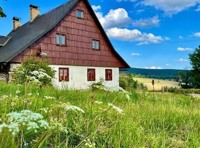 Semesterbostad U Kaplicky Ricky V Orlickych Horach *