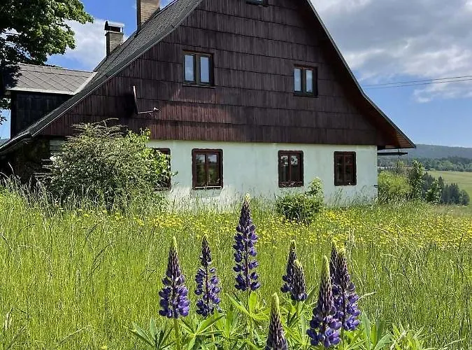 U Kaplicky Ricky V Orlickych Horach Semesterbostad *