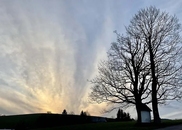 Semesterbostad U Kaplicky Ricky V Orlickych Horach *