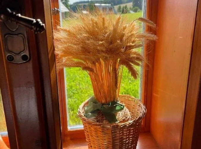 Semesterbostad U Kaplicky Ricky V Orlickych Horach