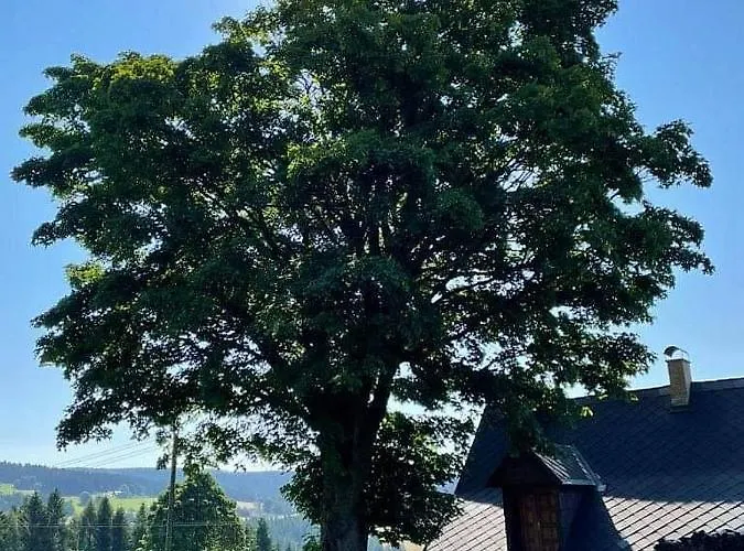 U Kaplicky Ricky V Orlickych Horach Semesterbostad